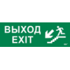 IEK Этикетка самоклеящаяся 280х100мм Выход/лестница вниз/фигура (LPC10-1-28-10-VLVNF)