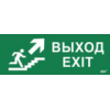IEK Этикетка самоклеящаяся 350х130мм Выход/лестницавверх/фигура (LPC10-1-35-13-VLVVF)
